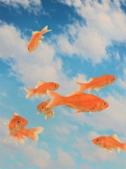 David Nance Aquarius oil on canvas realism clouds imaginary painting