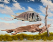 David Nance Shoreline Witness oil on canvas seascapes painting still life david nance coastal